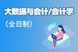 大数据与会计/会计学 